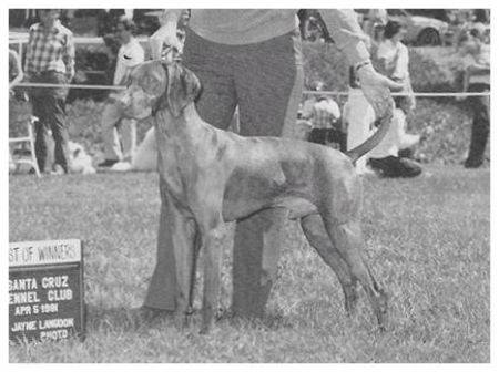 Bear Creek's Bartok