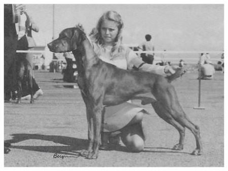La Ross' Gentle Ben