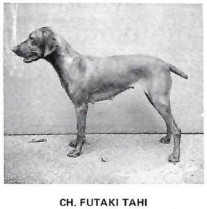 Futaki Tahi