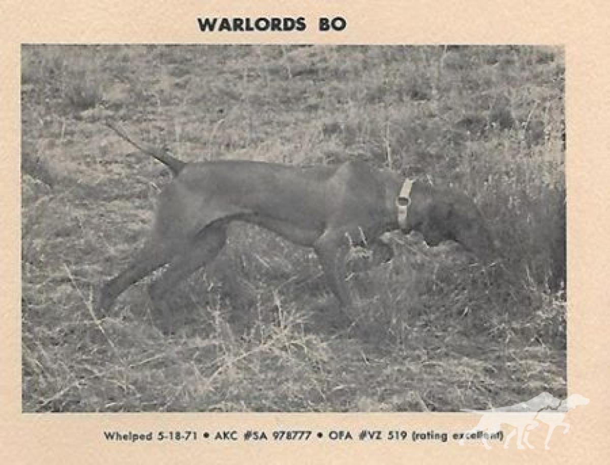 War Lords Bo