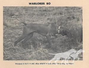 War Lords Bo