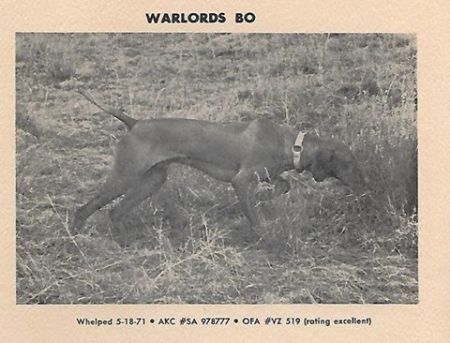 War Lords Bo