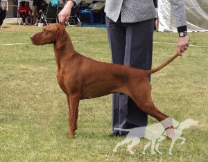 Hanafor Alspice Wroxton
