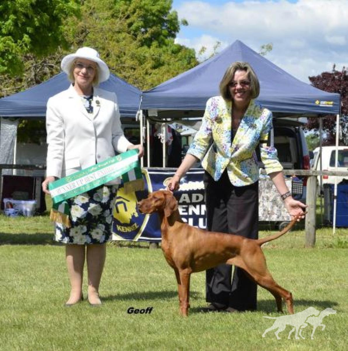 Hanafor Alspice Wroxton