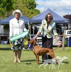Hanafor Alspice Wroxton