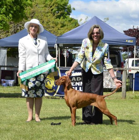Hanafor Alspice Wroxton