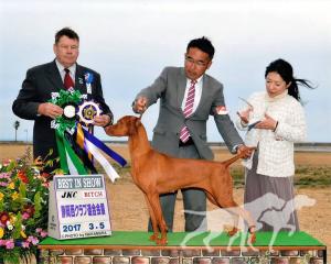 Buddydog Jp Gj Kiss'Mn Bodaciously