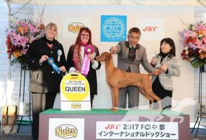 Buddydog Jp Gj Kiss'Mn Bodaciously
