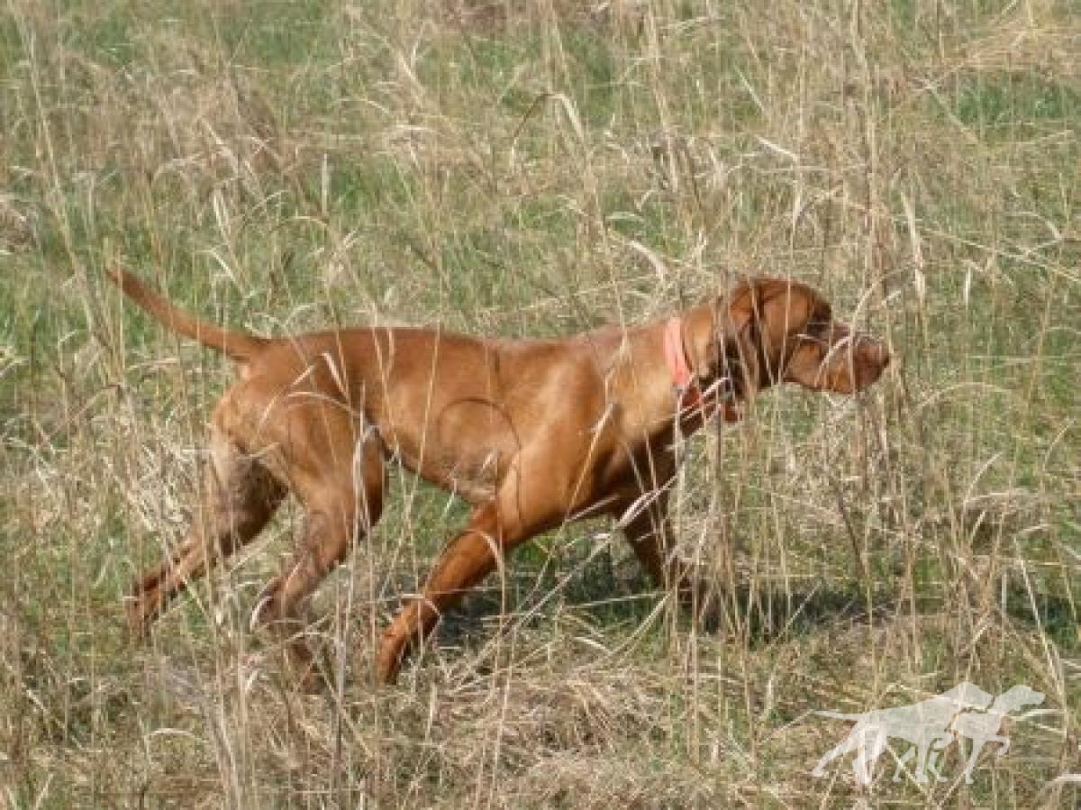 Scout 'Em Out Takin' Your Breath Away