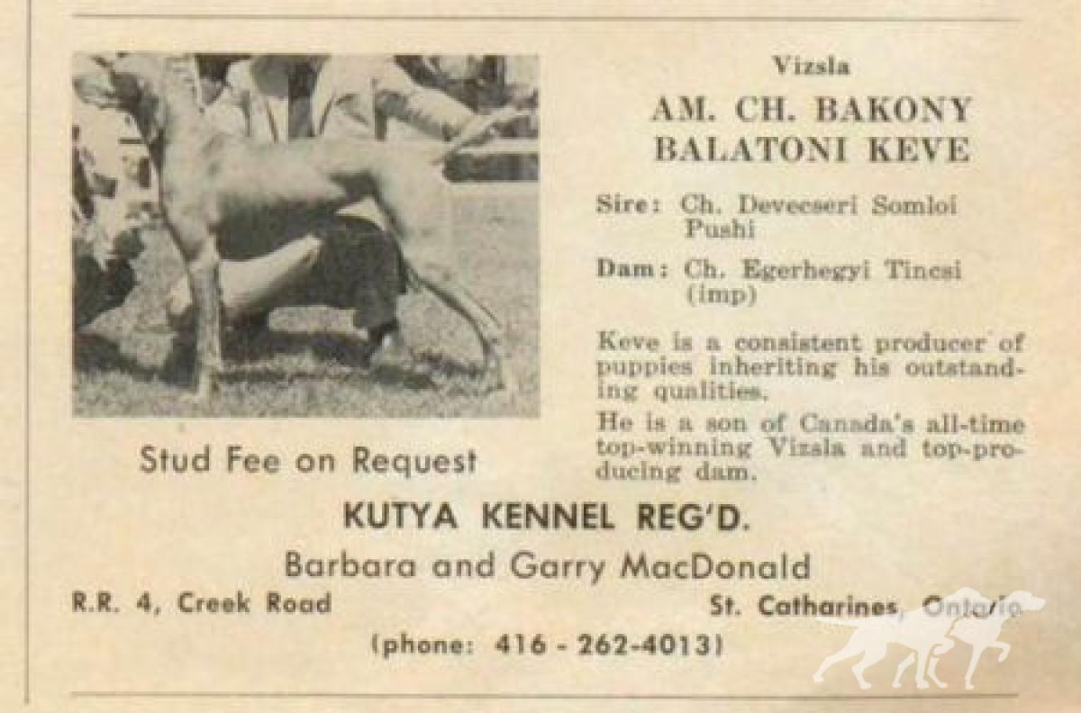 Bakony Balatoni Keve