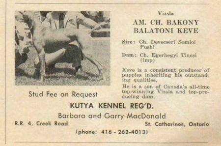 Bakony Balatoni Keve
