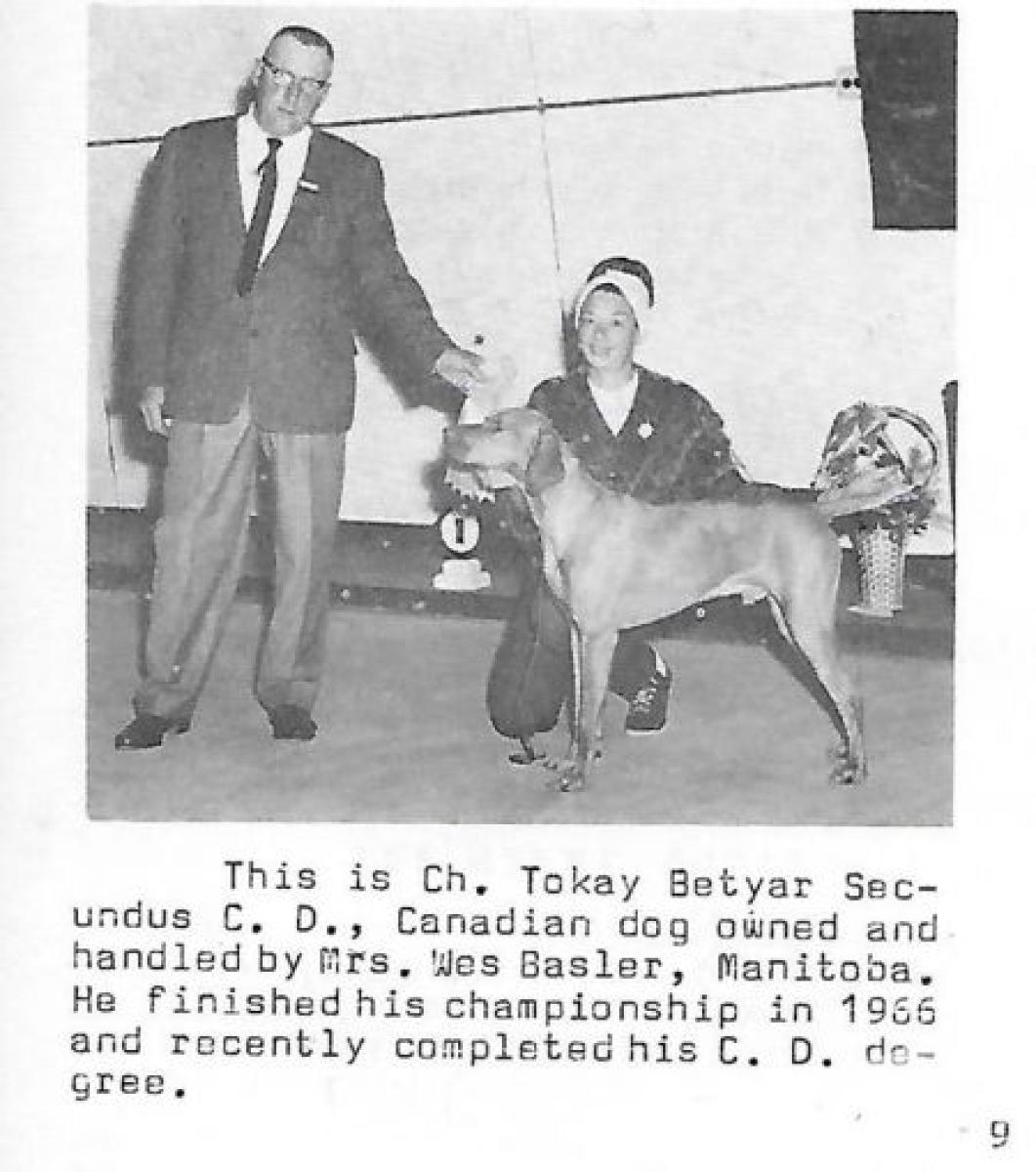 Tokay Betyar Secundus
