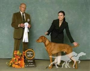 Piroska Sunfire's Grand Finale