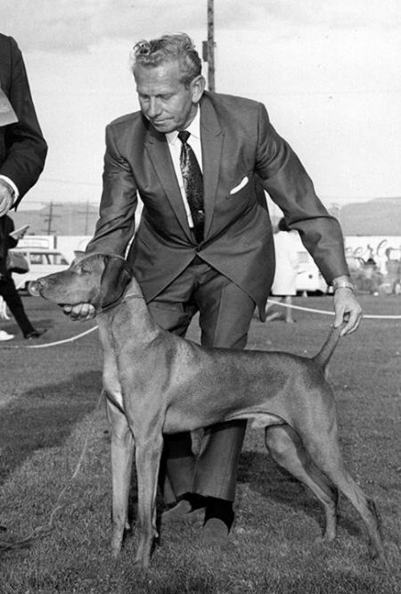 Fleckes of Sageacre