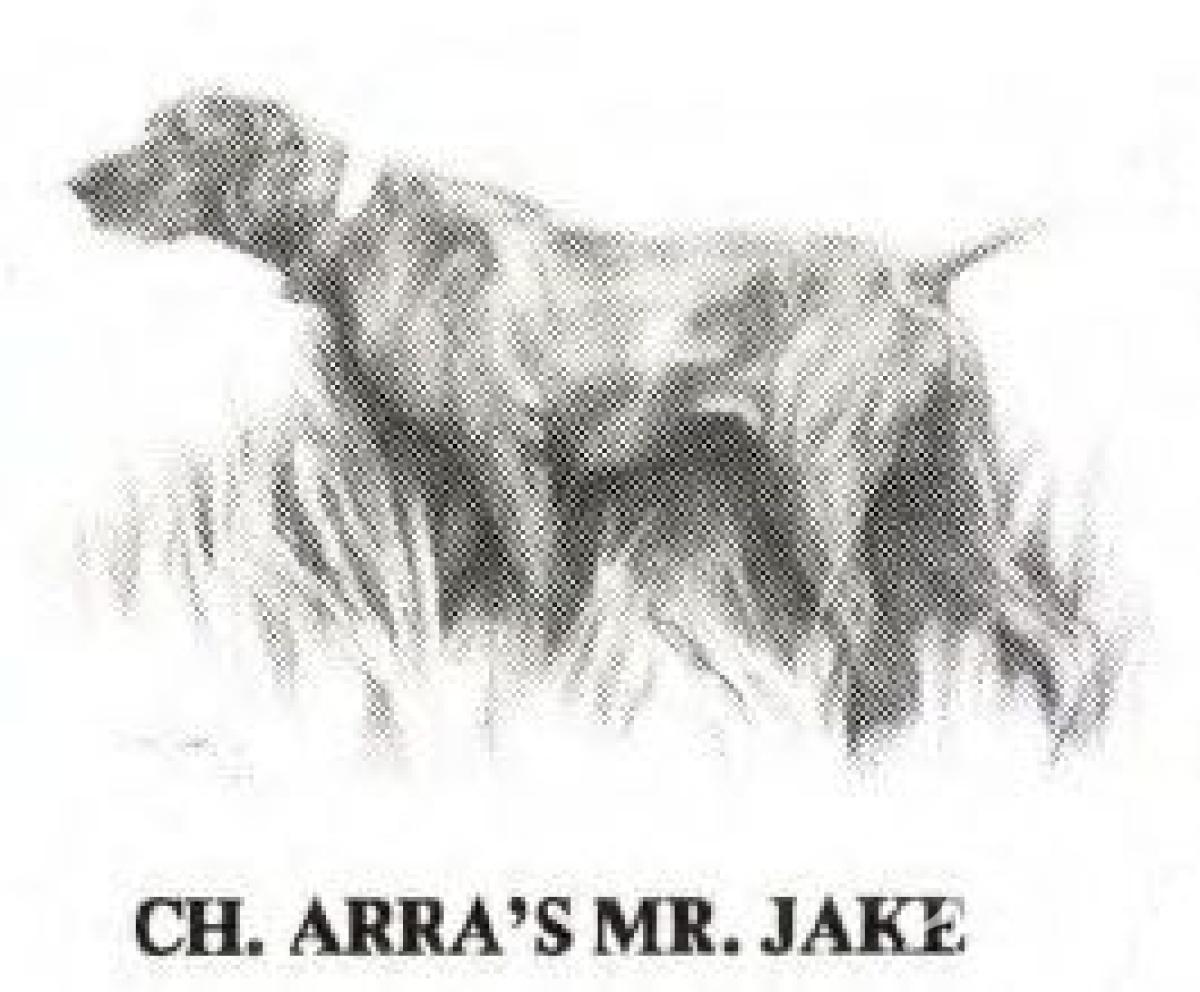 Arra's Mr Jake