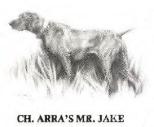 Arra's Mr Jake