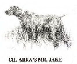Arra's Mr Jake
