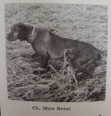 Miss Nessi