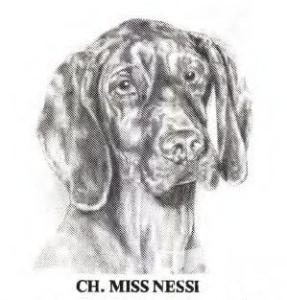 Miss Nessi