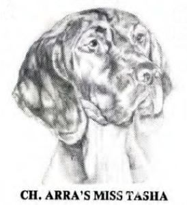 Arra's Miss Tasha