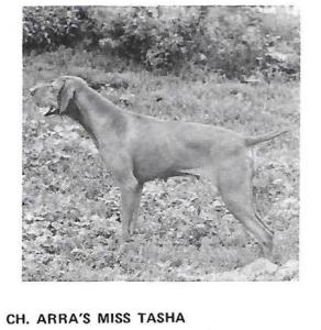 Arra's Miss Tasha