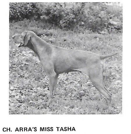 Arra's Miss Tasha