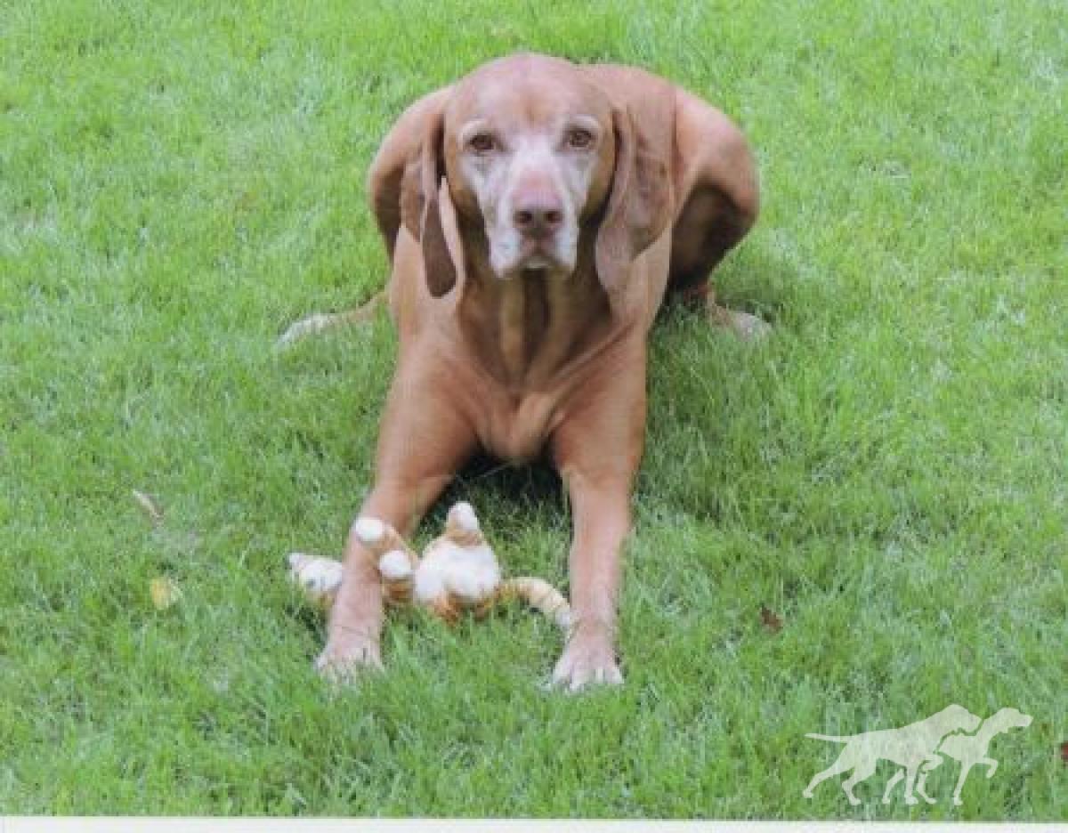 Chukar's And Klassen's Max