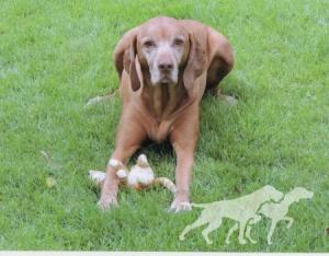 Chukar's And Klassen's Max