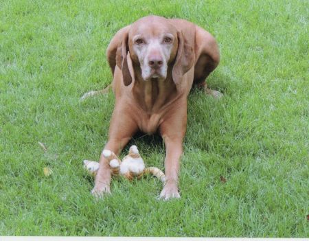 Chukar's And Klassen's Max
