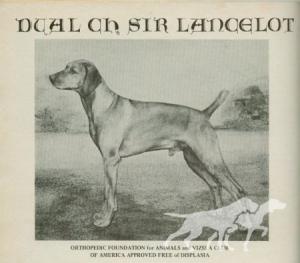 Sir Lancelot