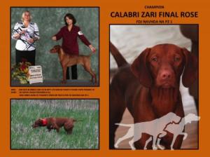 Calabri Zari Final Rose