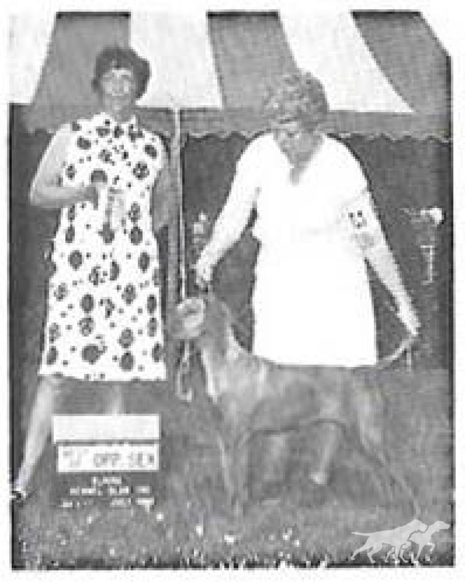 Hacienda's Georgia Brown