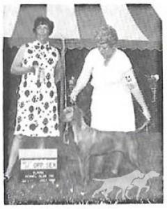 Hacienda's Georgia Brown