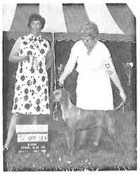 Hacienda's Georgia Brown