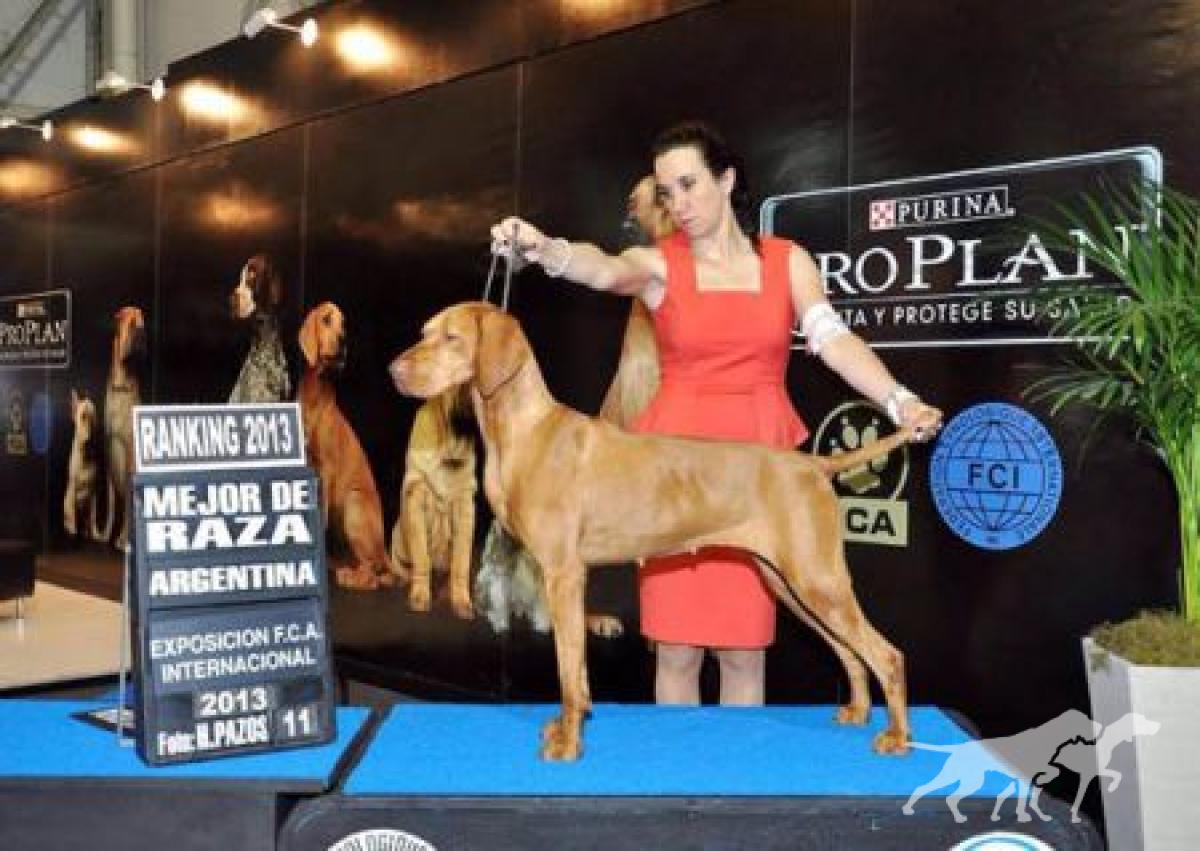 Anuska Rey D'Celis