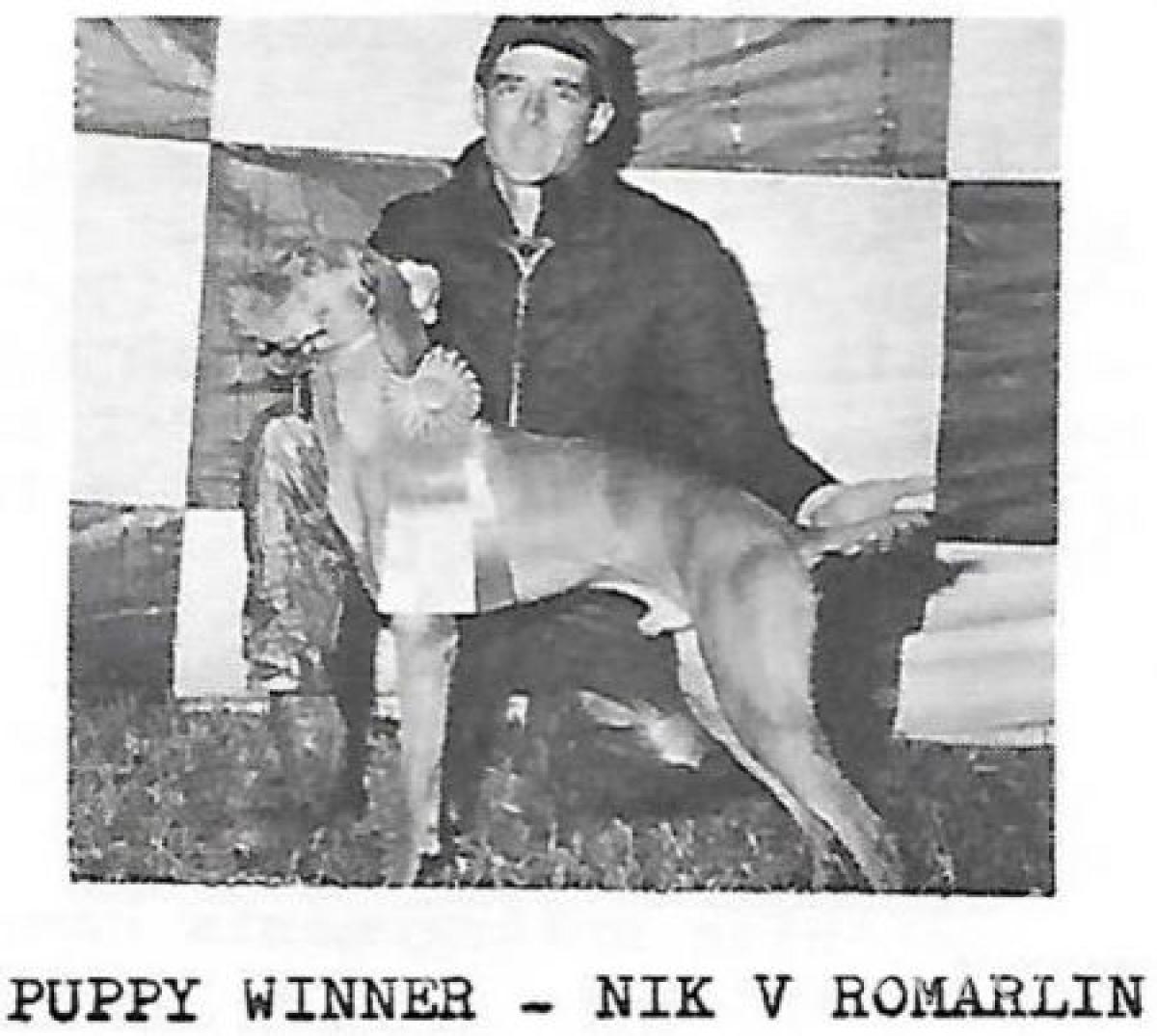 Nik v Romarlin