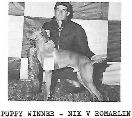 Nik v Romarlin