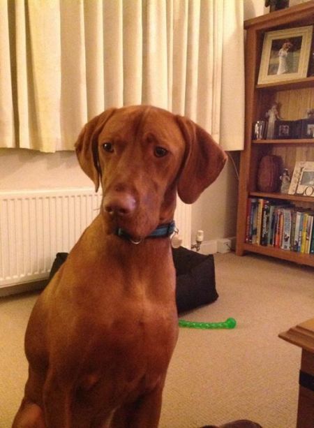 Ypsilon Storm