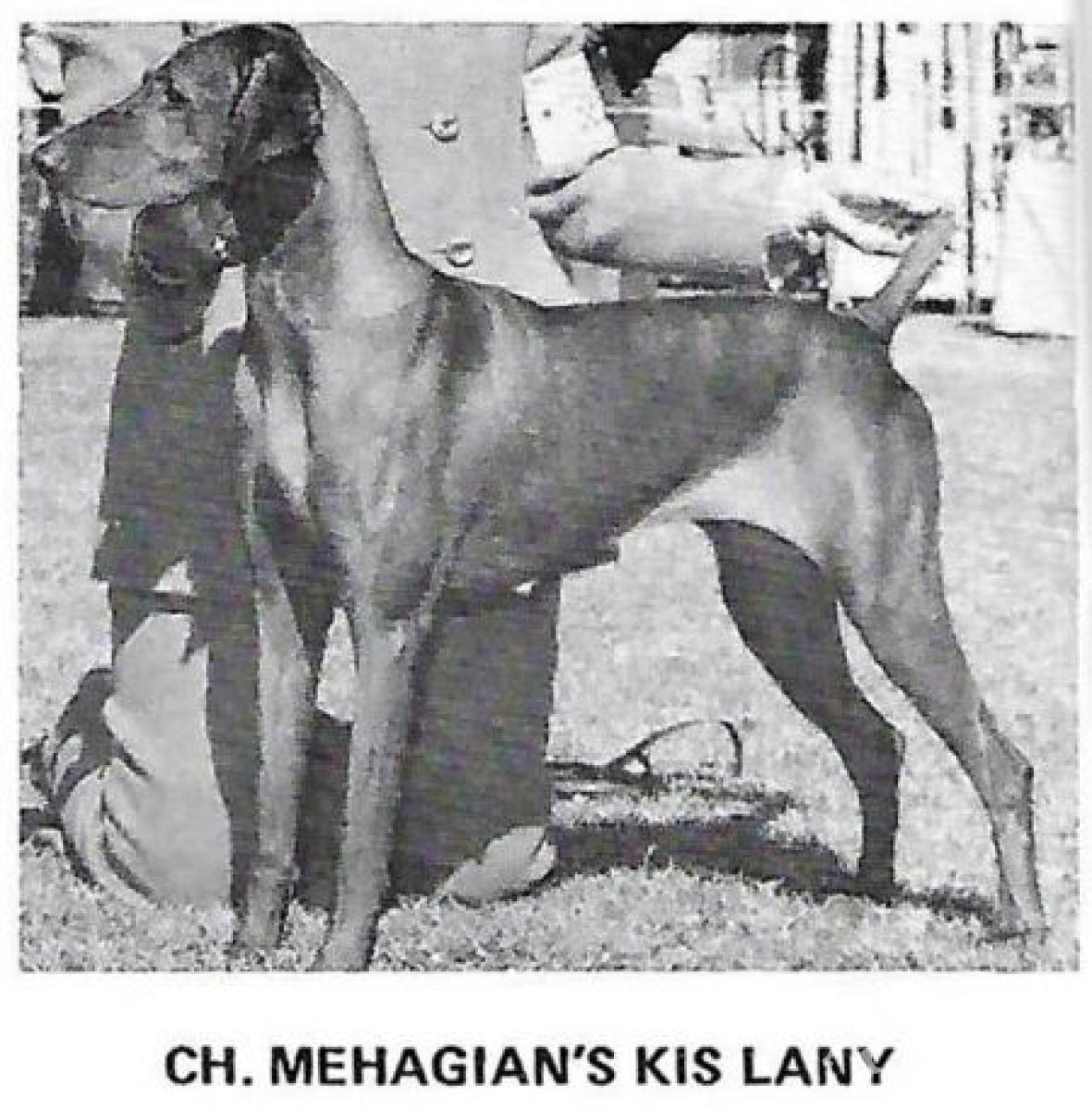 Mehagian's Kis Lany