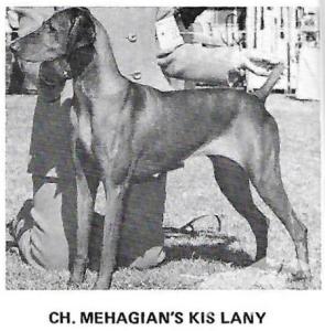 Mehagian's Kis Lany