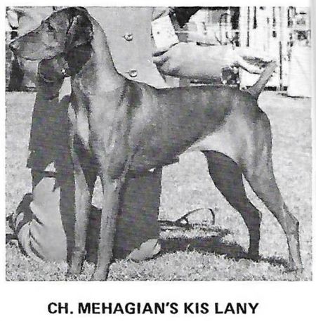 Mehagian's Kis Lany