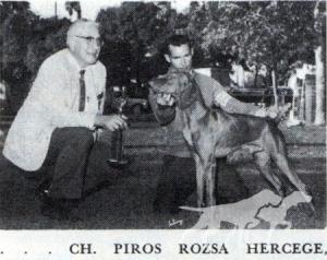 Piros Rozsa Hercege