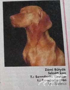 Zámi Bütyök