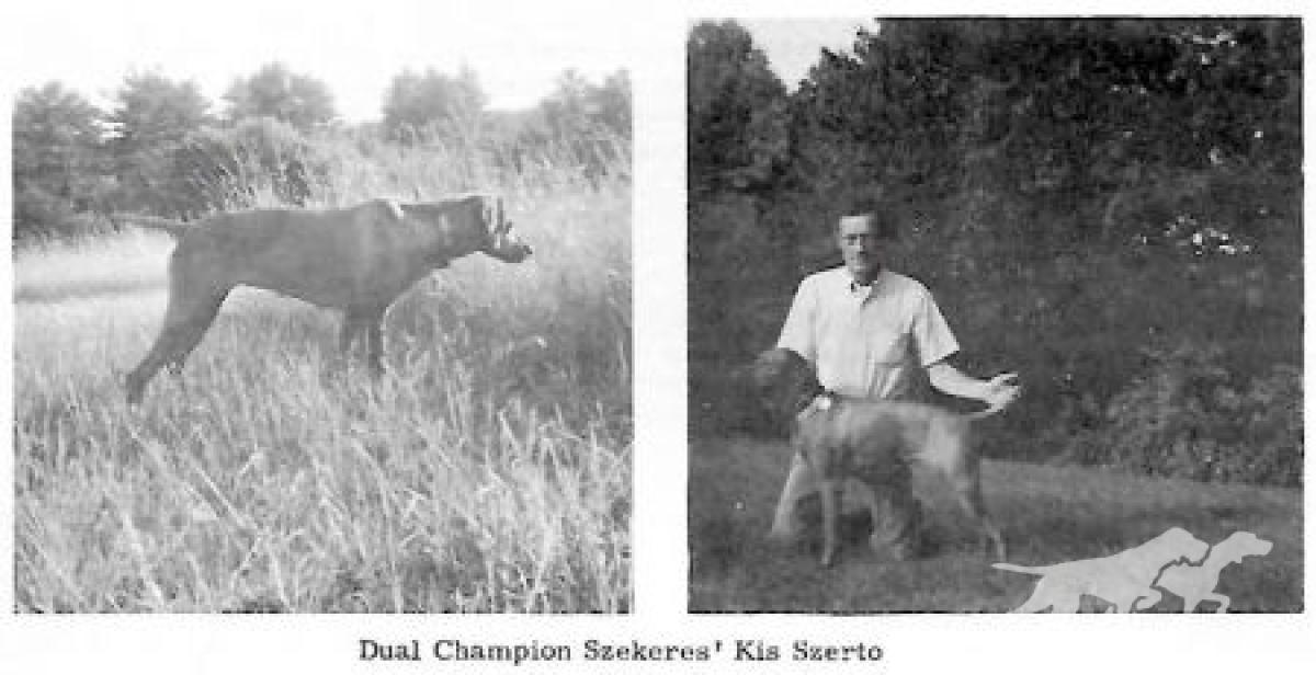 Szekeres' Kis Szereto