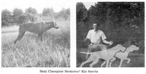 Szekeres' Kis Szereto