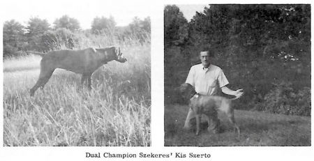 Szekeres' Kis Szereto