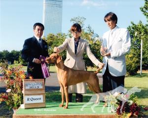 Buddydog Jp Gj Kiss'Mn Around Me