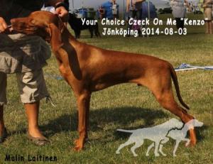 Your Choice Czeck On Me