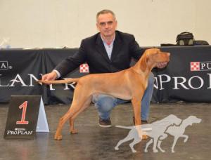 Luxatori Eros