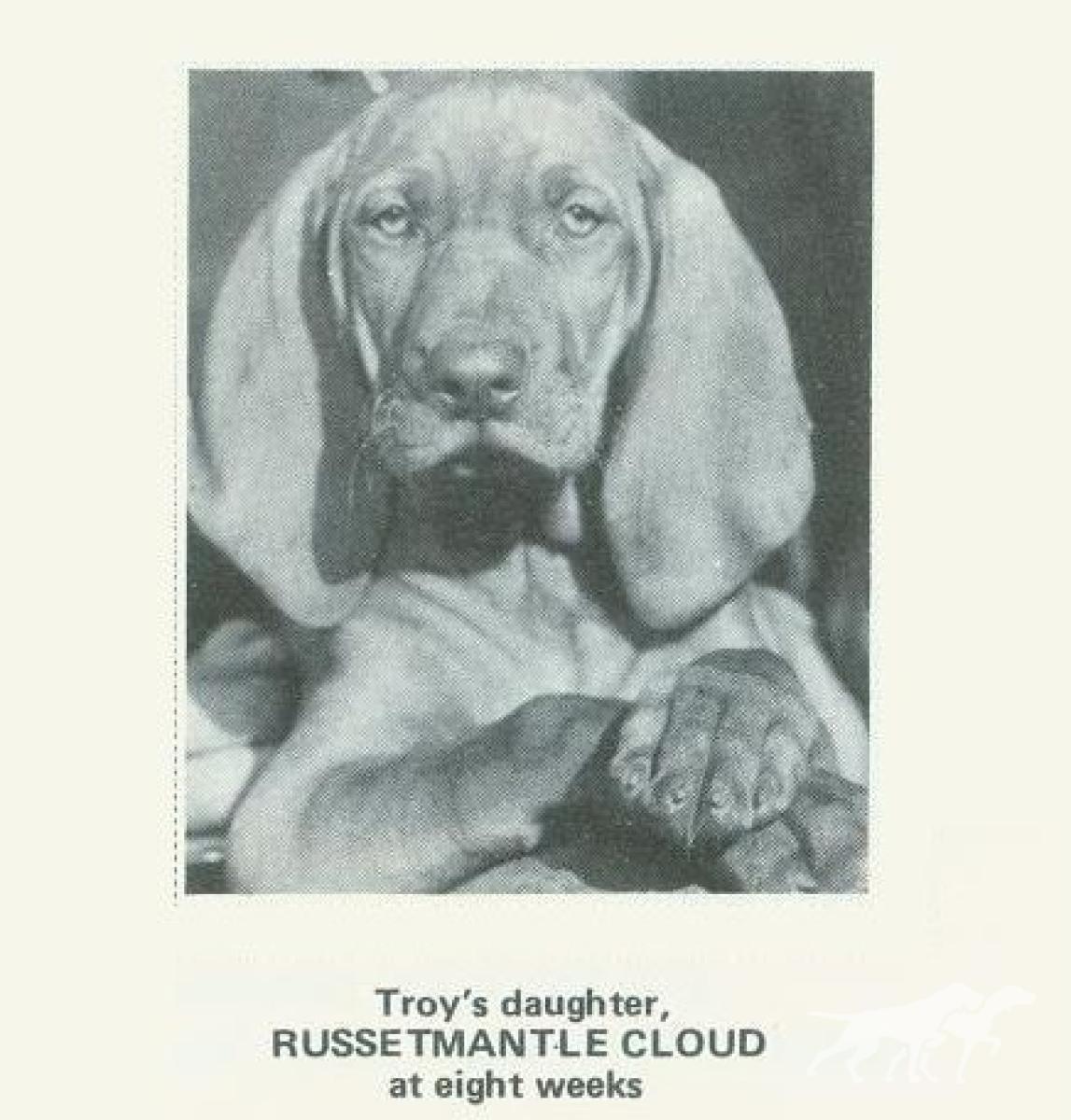 Russetmantle Cloud
